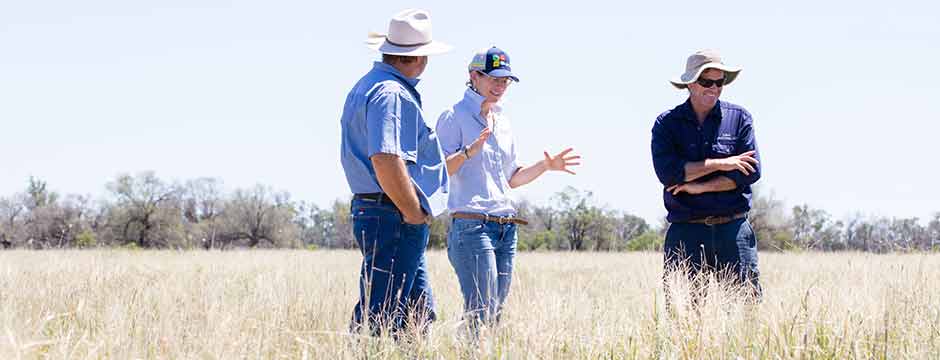 Two men and one woman standing in a paddock talking