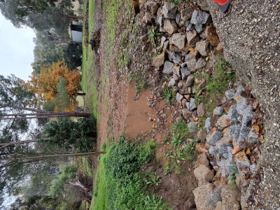 erosion remediation works & new erosion