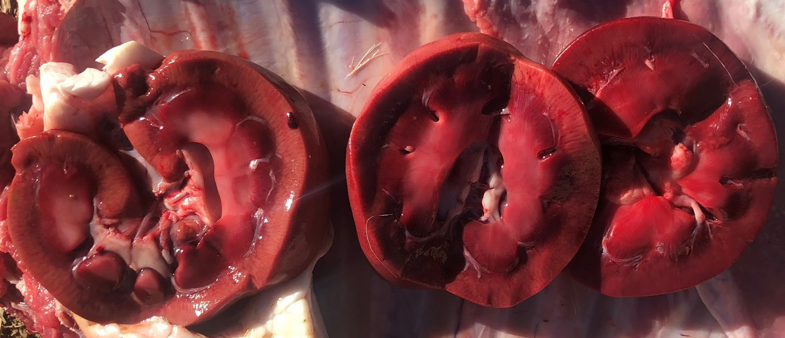 Normal kidney on left with two abnormal kidneys from goats with pulpy kidney.