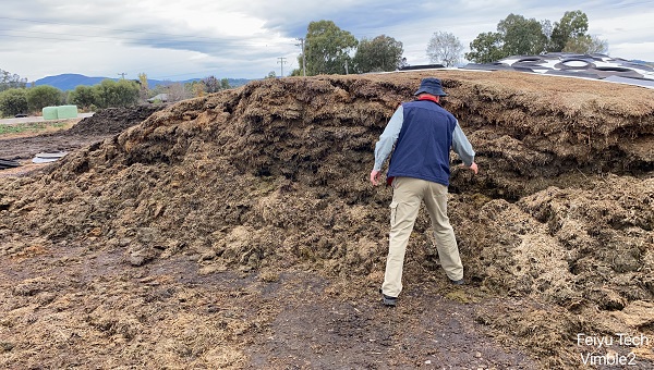 A man inspects a large brown pile of silage