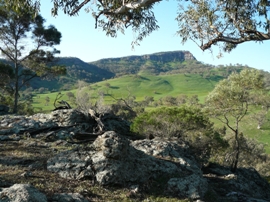 Yambla Range