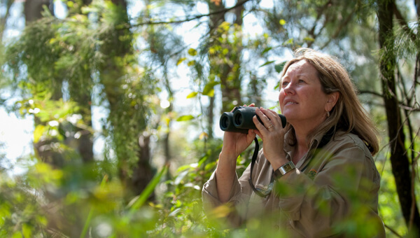 birdwatching