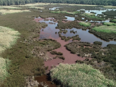 Moira Lake, Murray Valley National Park