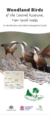 Woodland birds of the Central Riverina, NSW