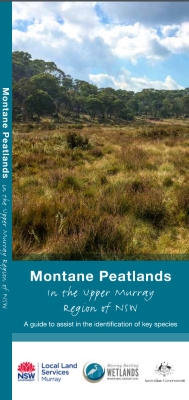 Montane peatlands in the upper Murray region of NSW