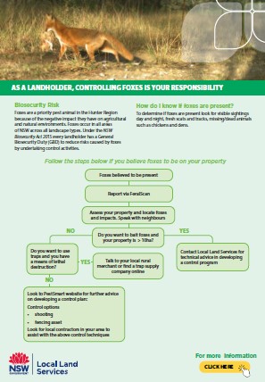 Fox control decision tool