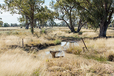 Womera Creek 