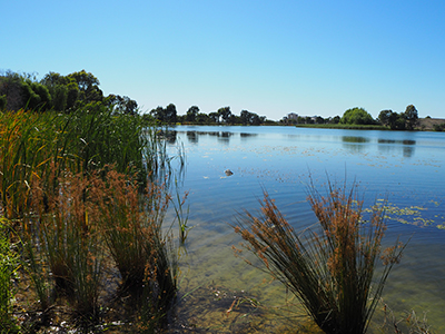 Moulamien lake