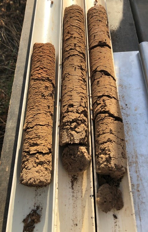 Building soil carbon - soil cores