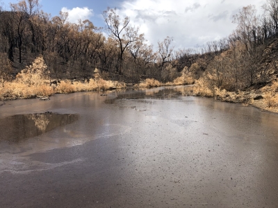 Mannus creek after the 2019-20 bushfires