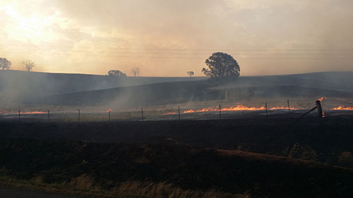 Fire destroying a fence and the land behind it, the sky is smokey