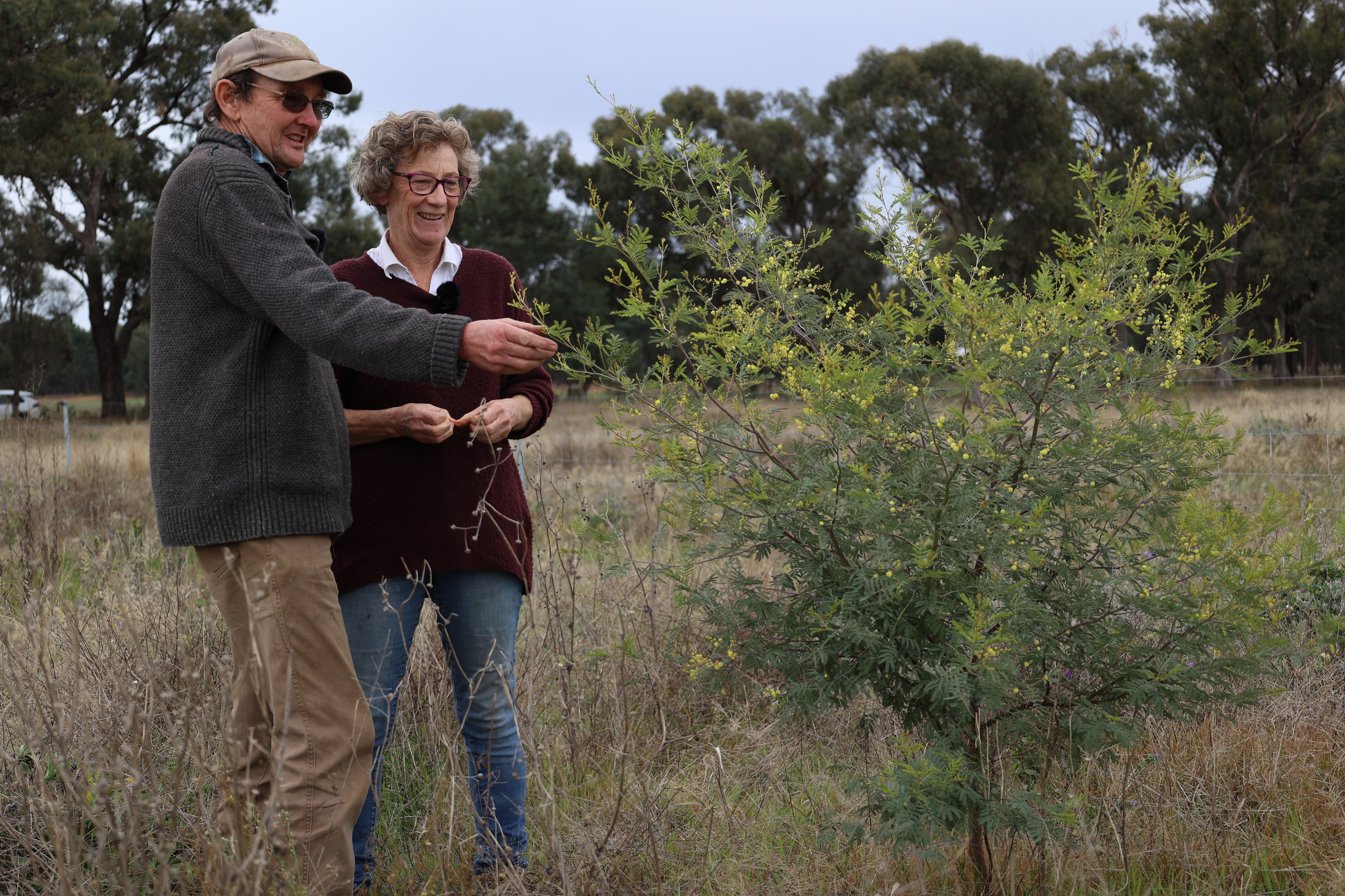 A man wearing sunglasses and a hat whilst holding his arm out, stands beside a woman in a paddock next to a newly planted tree