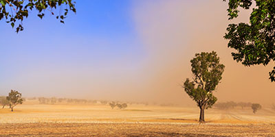 Bushfire burning with dark smoke filling the sky