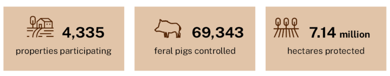 three beige boxes with statistics and icons representing outcomes from the Feral Pig Program. 4,335 properties participating, 69,343 feral pigs controlled and 7.14 million hectares protected.