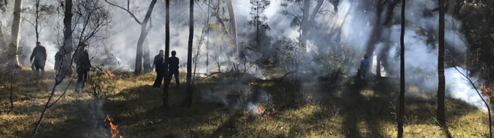 People standing in bushlands surrounded by smoke and small fires for a Cultural burn