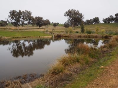 Rehabilitated Farm Dam