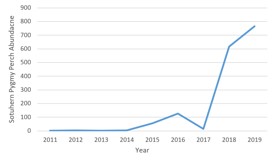 Southern pygmy perch abundance in Coppabella Creek