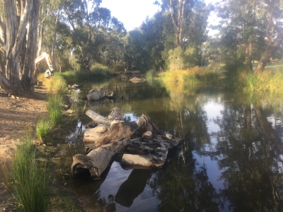 Deniliquin Lagoons re-snagging. Photo Dan Hutton