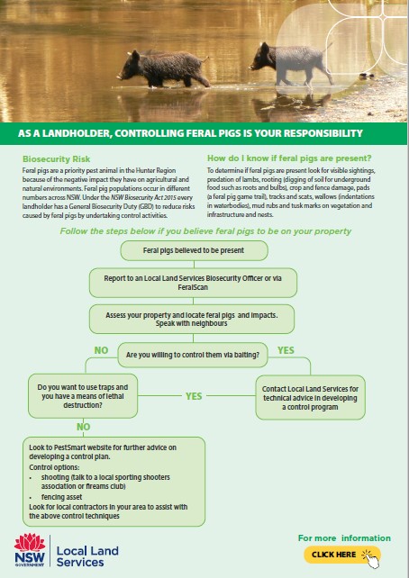 Feral pig control decision tool