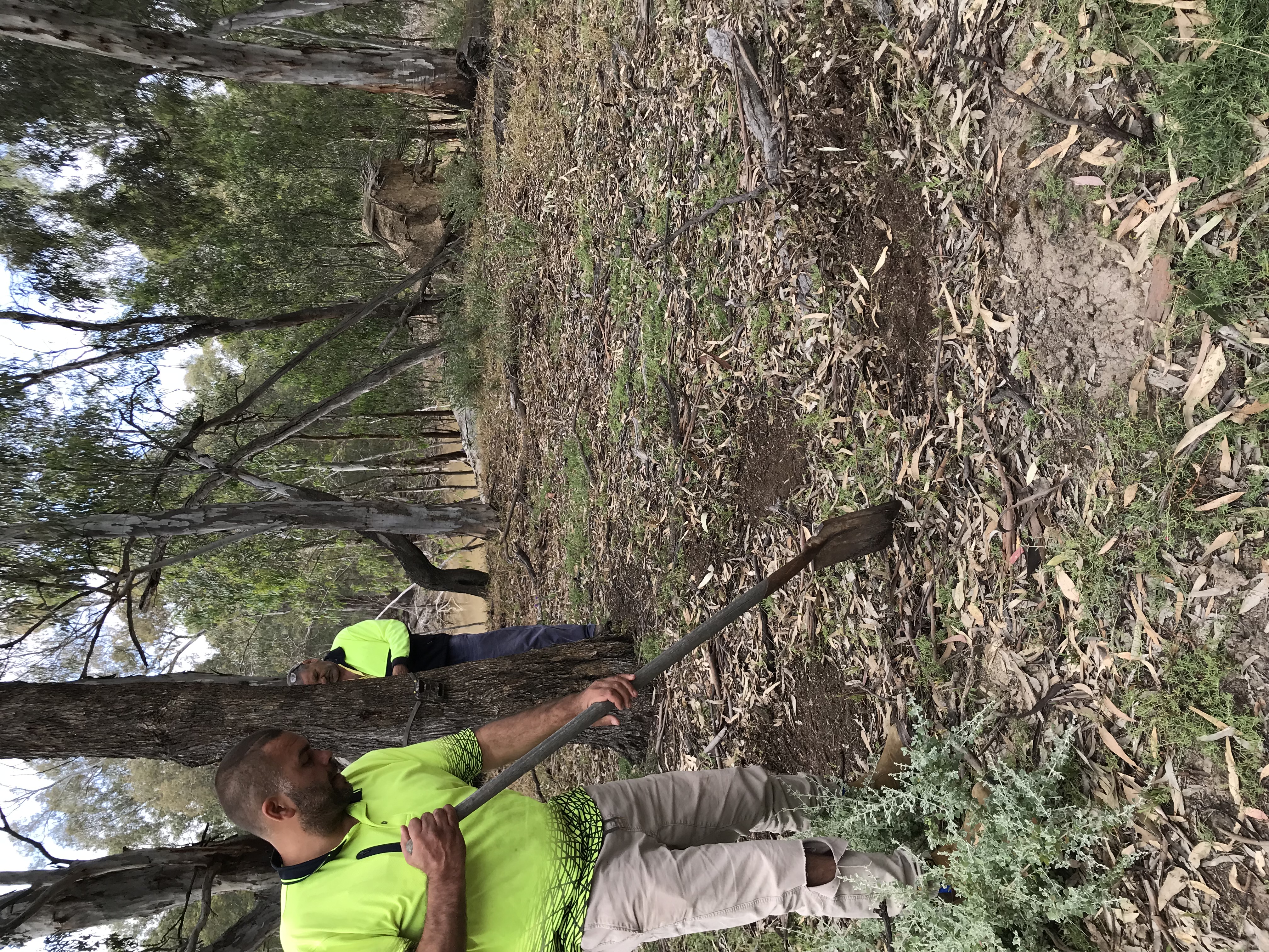 Phil Hudson and Warren Stevens from the Moama Local Aboriginal Land Council setting up turtle nest predation surveys