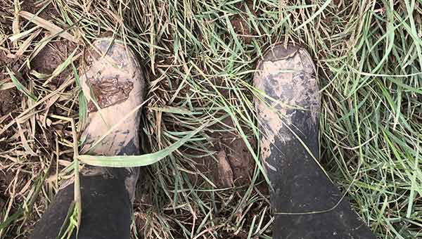 A person standing in a paddock, image is from the point of view of looking down at a pair of muddy boots in a very muddy field