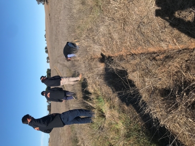 Aboriginal Ranger team inspecting direct seeding site