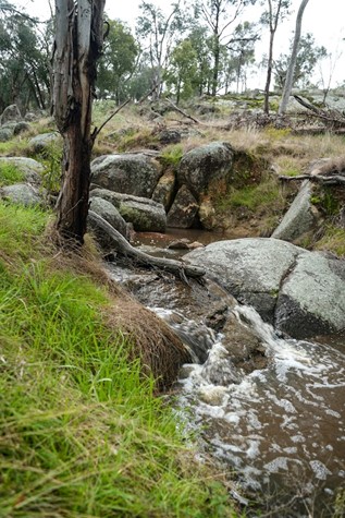 Creek on Welsh's property