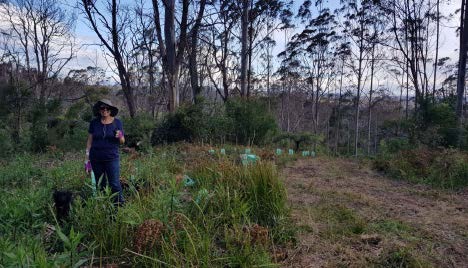 landholder planting in recovery site