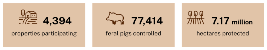 three beige boxes with statistics and icons representing outcomes from the Feral Pig Program. 4,394 properties participating, 77,414 feral pigs controlled and 7.17 million hectares protected.