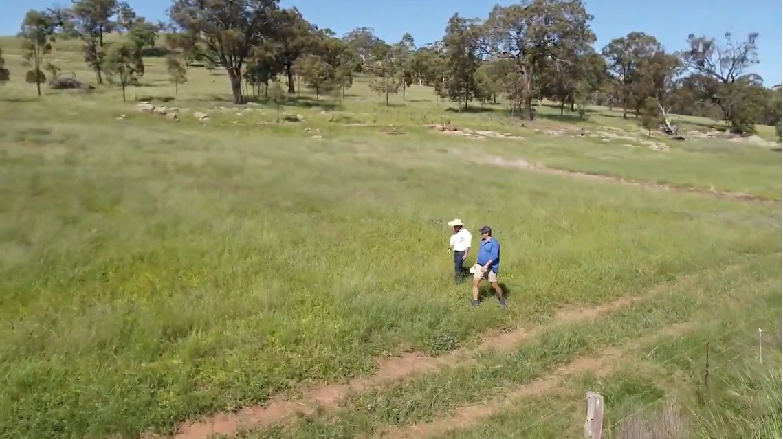 Two people walking in paddock