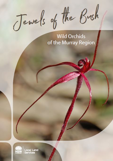 Jewels of the Bush: Wild Orchids of the Murray Region