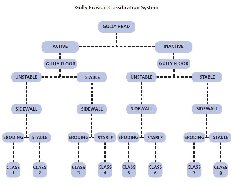 Gully erosion classification system