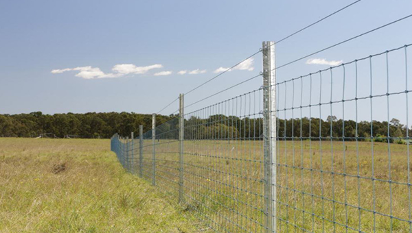 A fence separating two paddocks