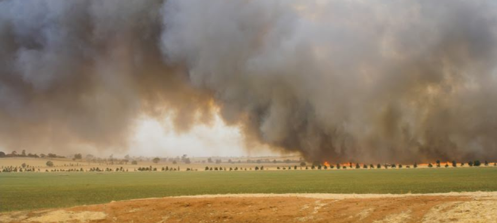 green paddock with a plume of smoke and flames along a tree lines of small green trees 