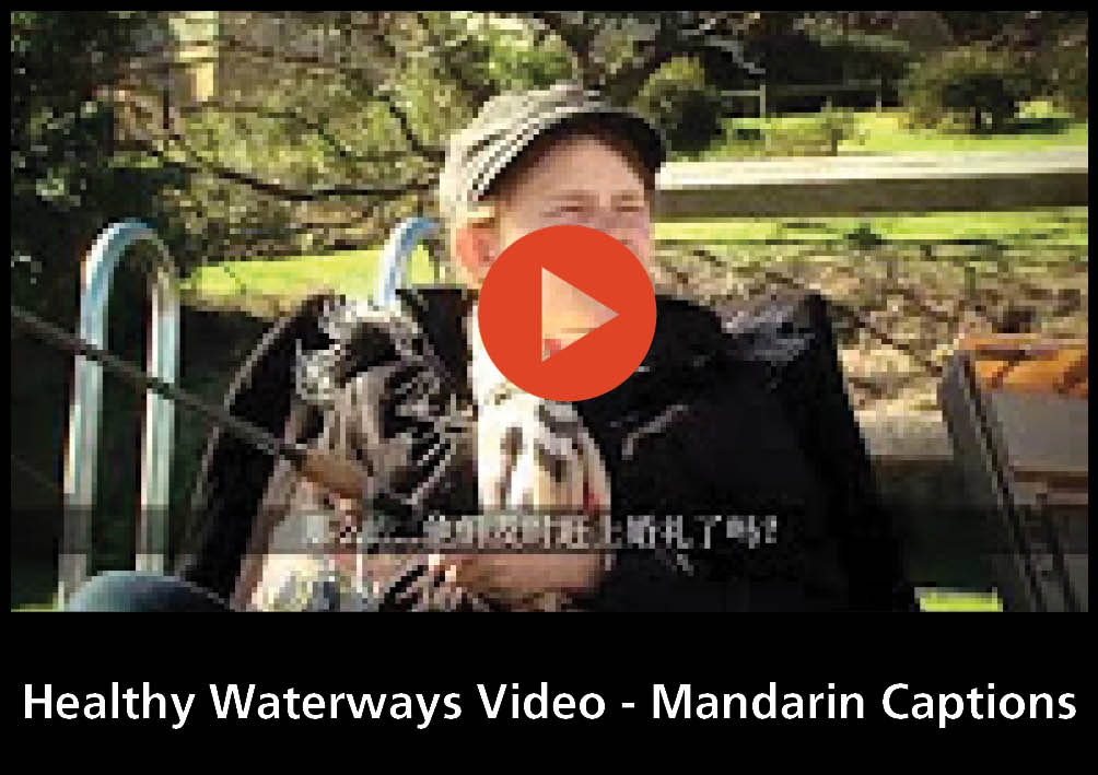 Still of Heathly Waterways Video with Chinese captions