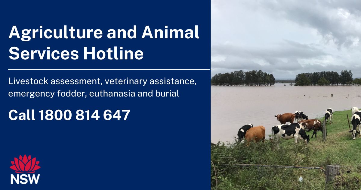 Agriculture and Animal Services Hotline