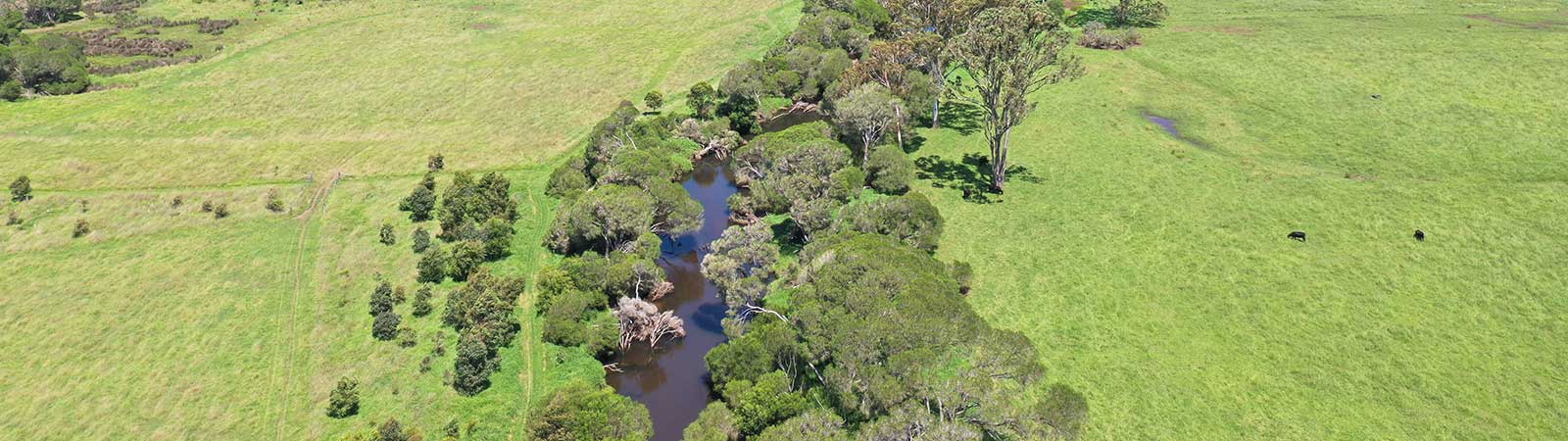 Panboola River Corridor aerial view, the trees are hugging the riverbank.