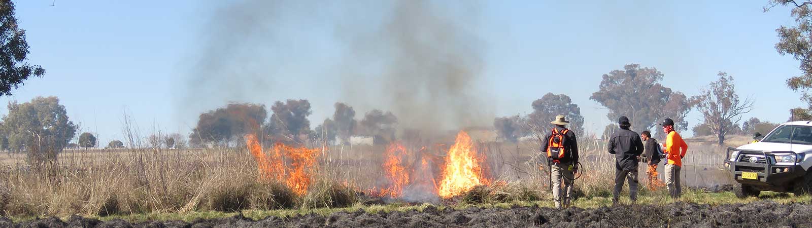 A fire burning, a cool burn, in the grass with a small group watching the fire.