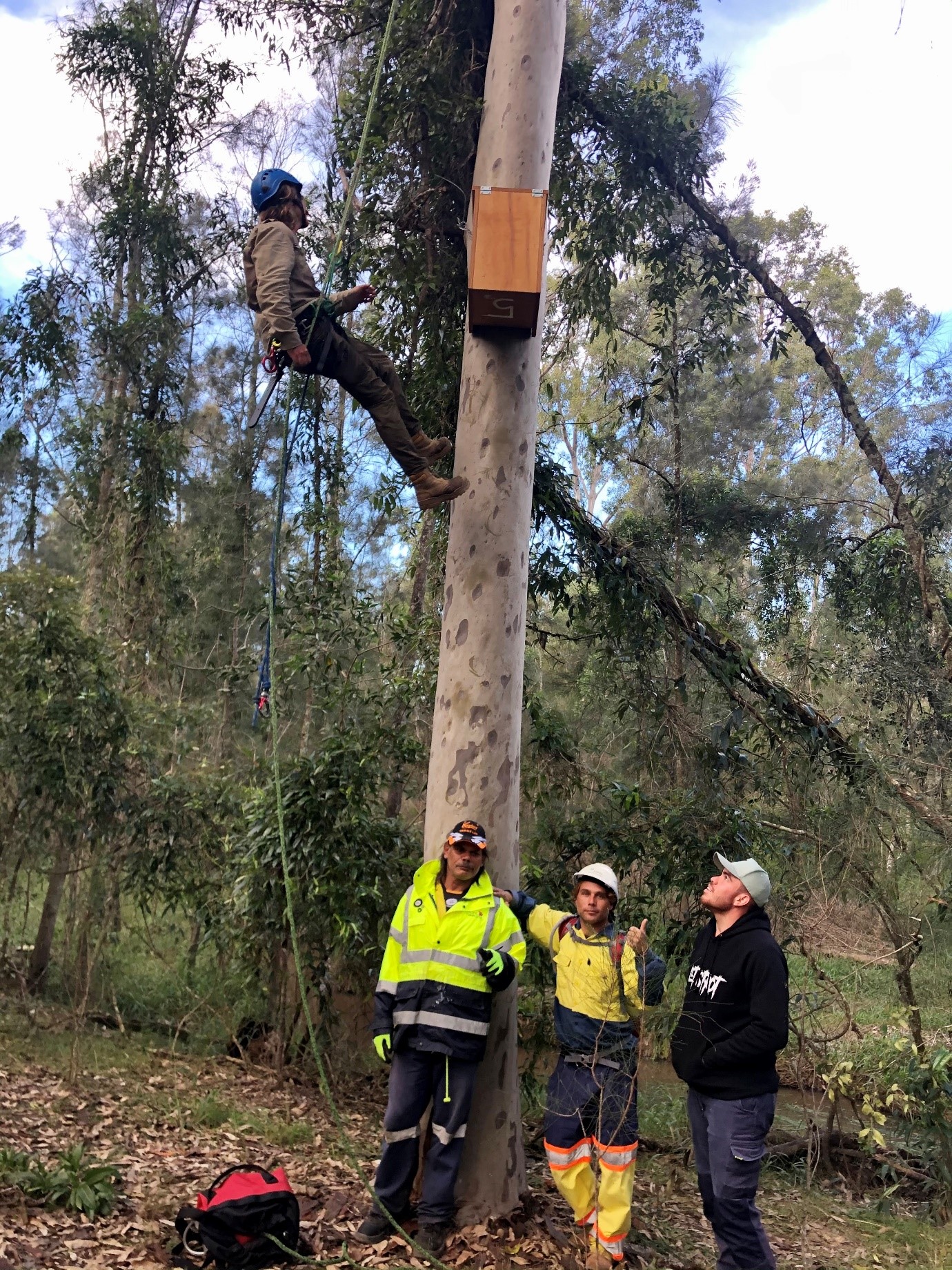 Yaegl Nest Box