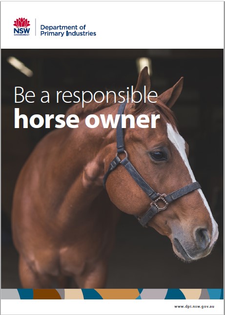 Be a responsible horse owner