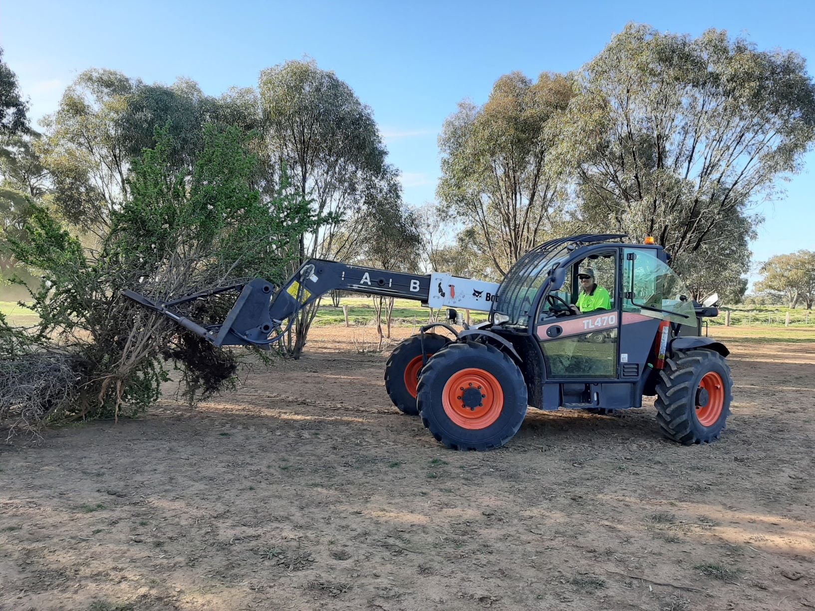 Murray River Council boxthorn puller machinery