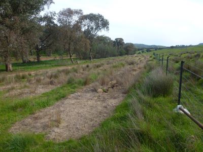 site preparation