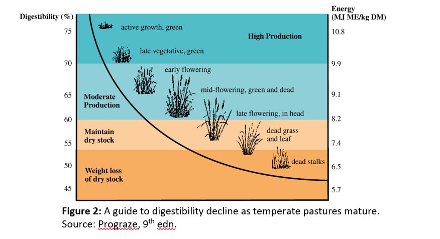 Figure 2 A guide to digestibility decline as temperate pastures mature.