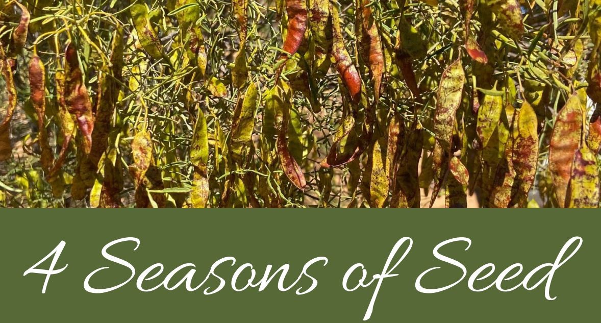 Four seasons of seed