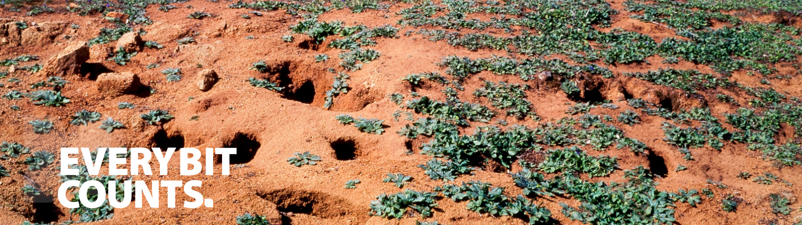 Every bit counts rabbit control small landholders