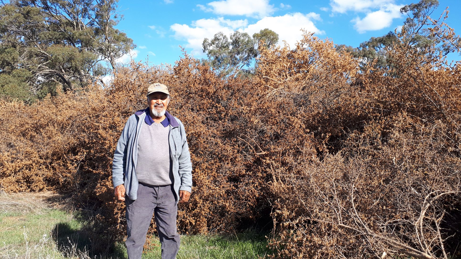 Uncle Col Walker in front of stockpiled boxthorn