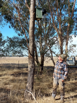 Trevor Barber looking up at a nest box