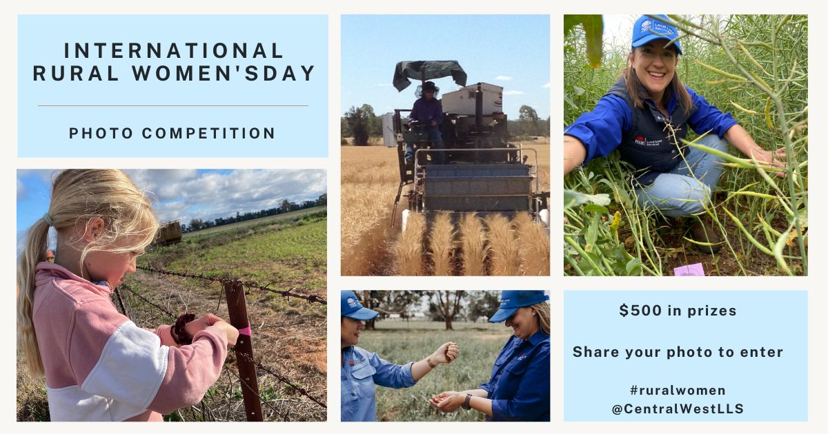 rural womens day photo competition