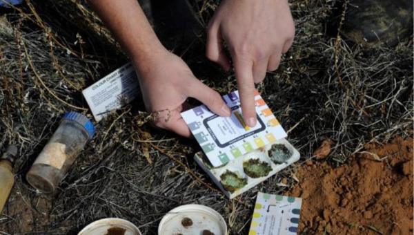 soil testing with a soil test kit