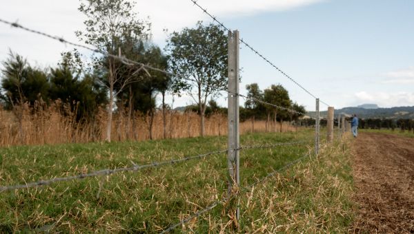 close up of a fence with people standing in far distance